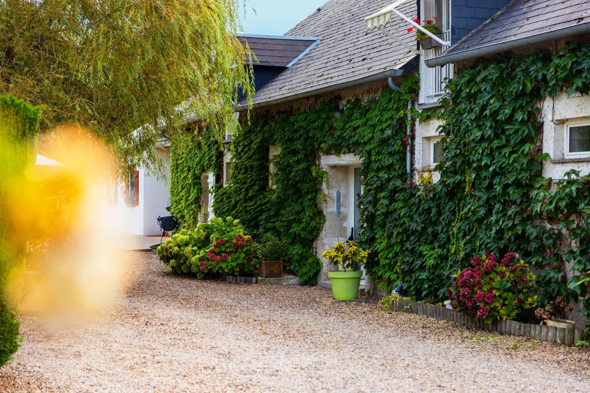 Ferme De Marpalu Bed & Breakfast La Ferte-Saint-Cyr Exterior photo